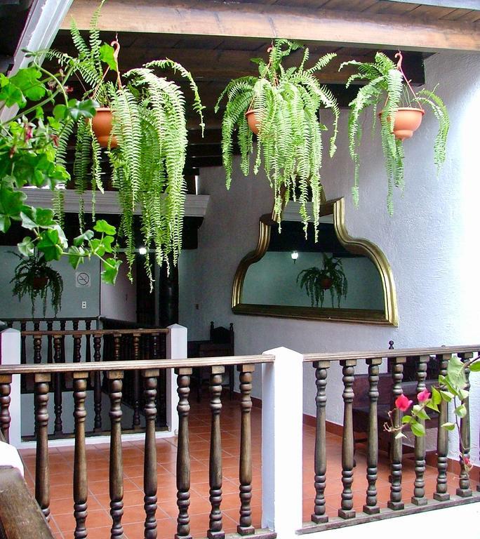 Hotel Villa Real Antigua Eksteriør bilde